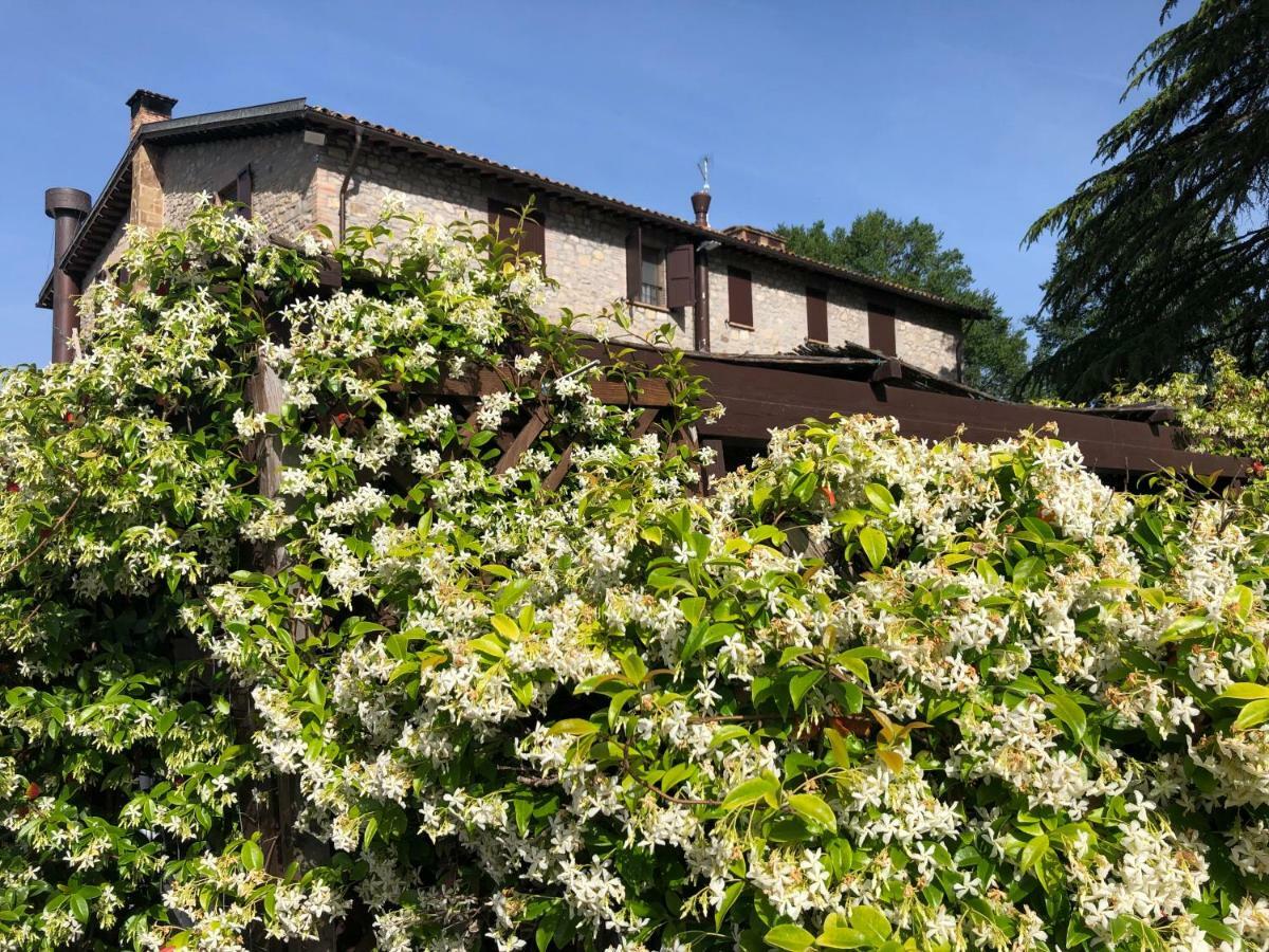 Agriturismo Beata Vanna Villa Fabro Esterno foto