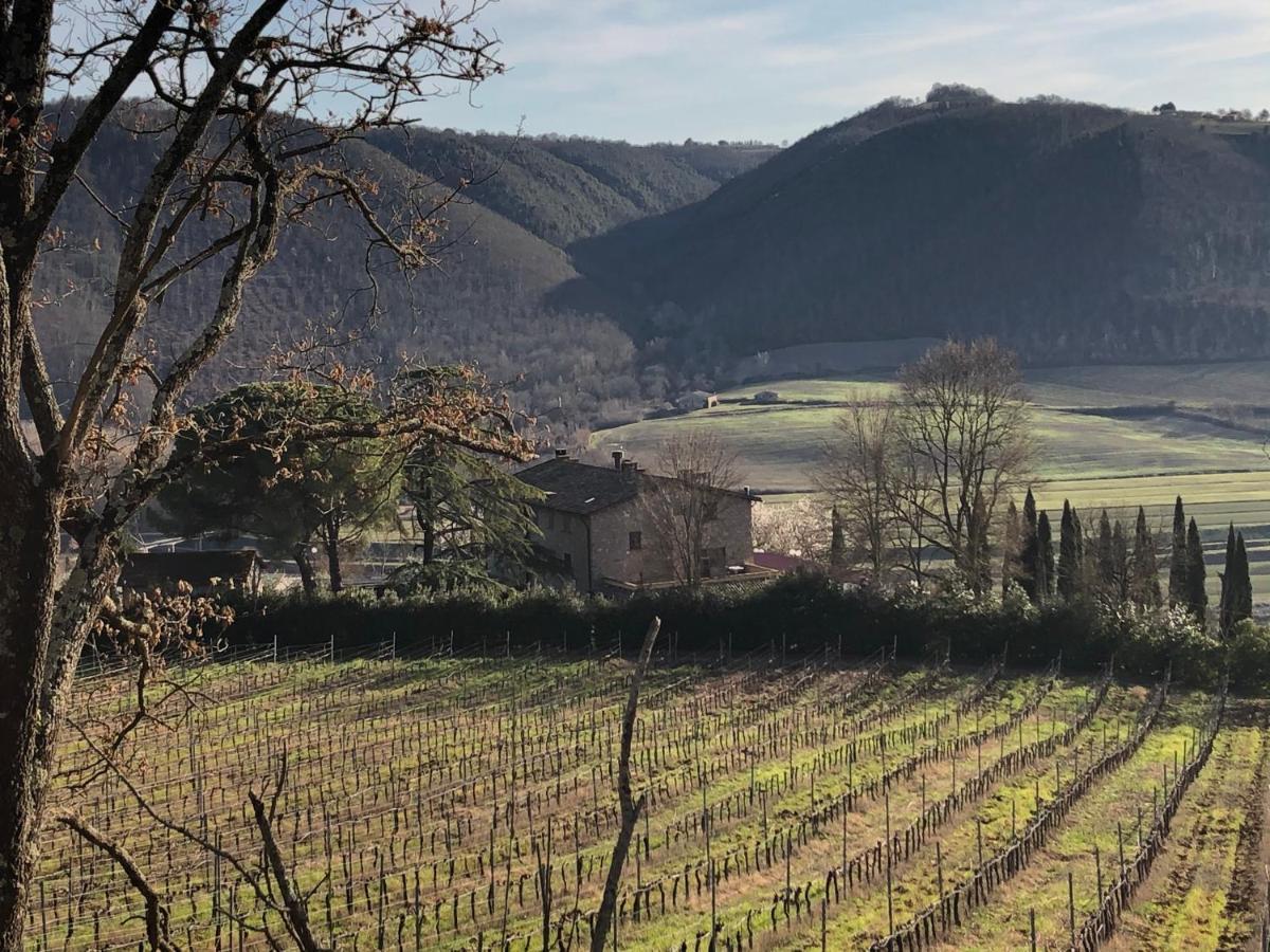 Agriturismo Beata Vanna Villa Fabro Esterno foto